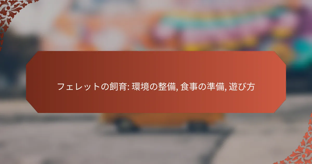 フェレットの飼育: 環境の整備, 食事の準備, 遊び方