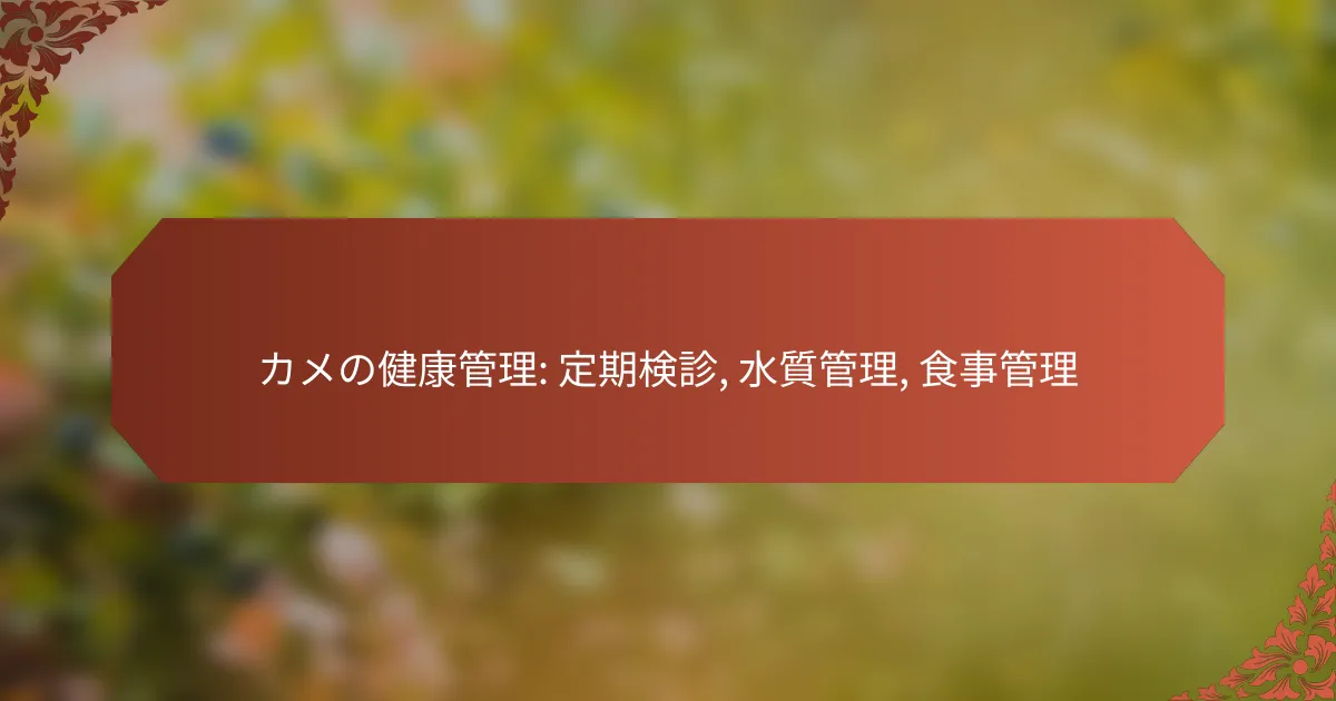 カメの健康管理: 定期検診, 水質管理, 食事管理