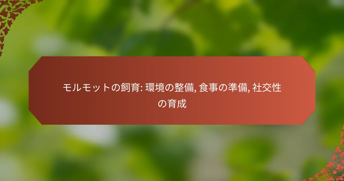 モルモットの飼育: 環境の整備, 食事の準備, 社交性の育成