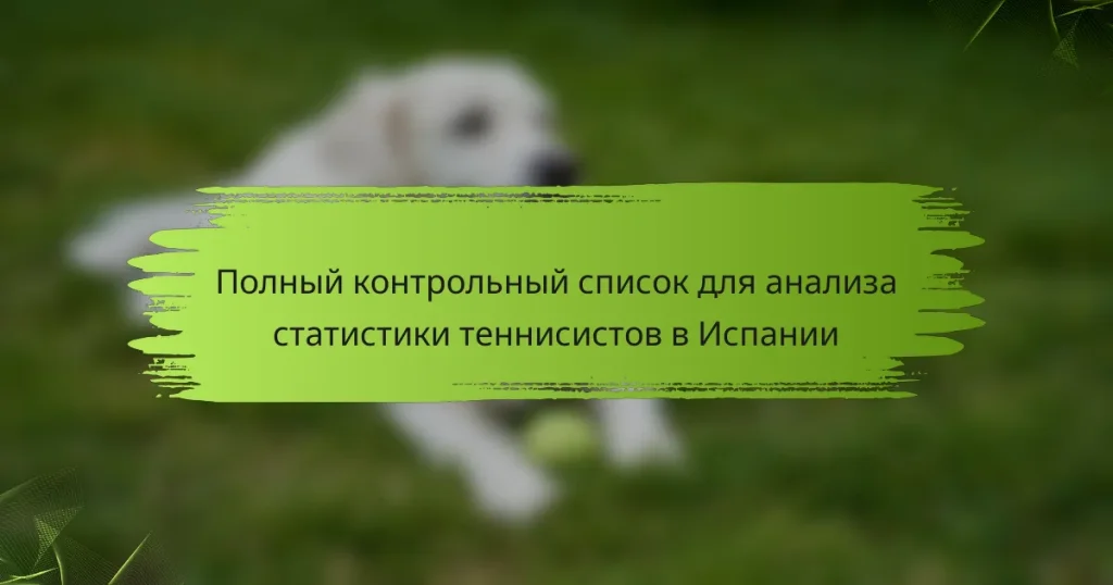 Полный контрольный список для анализа статистики теннисистов в Испании
