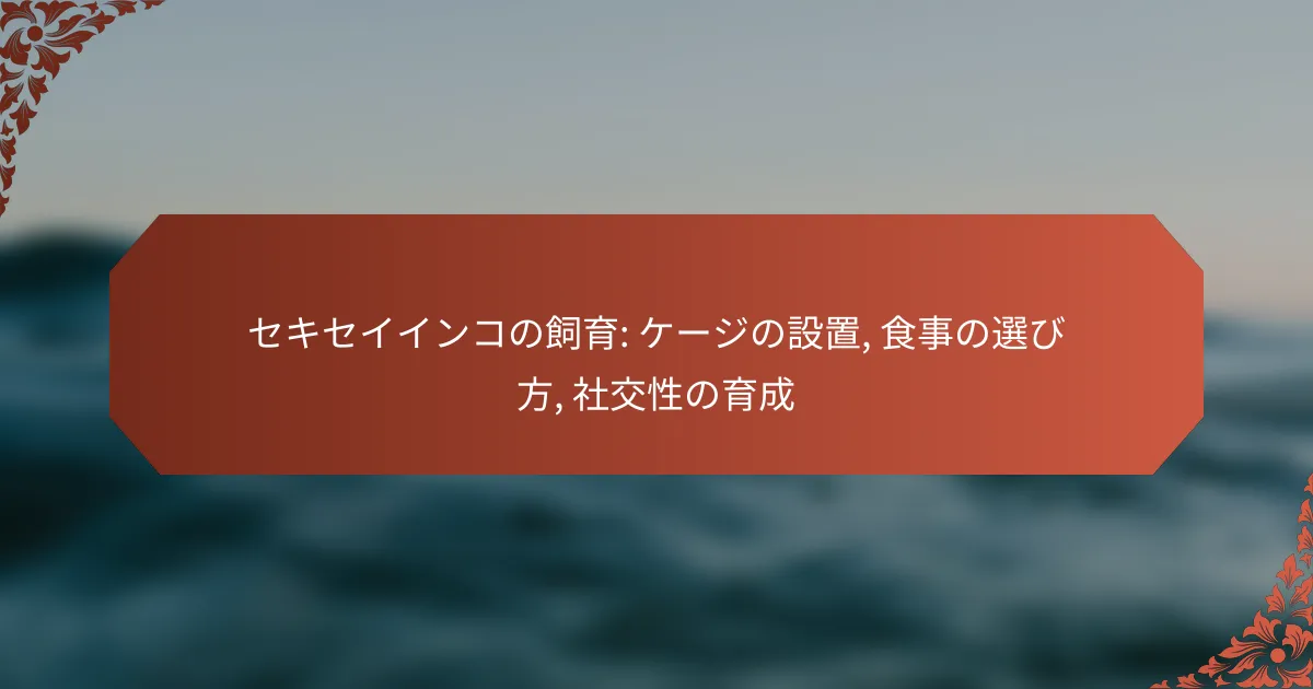 セキセイインコの飼育: ケージの設置, 食事の選び方, 社交性の育成