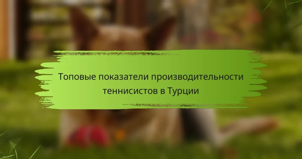 Топовые показатели производительности теннисистов в Турции